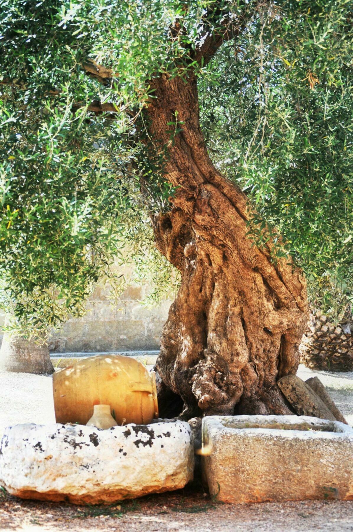 Agriturismo Matine Βίλα Alessano Εξωτερικό φωτογραφία